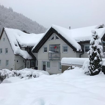 Ferienwohnung Ella, 95Qm, Terrasse Todtnau Luaran gambar