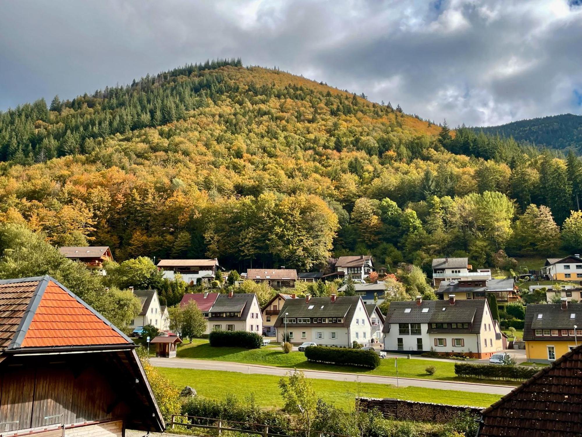 Ferienwohnung Ella, 95Qm, Terrasse Todtnau Luaran gambar