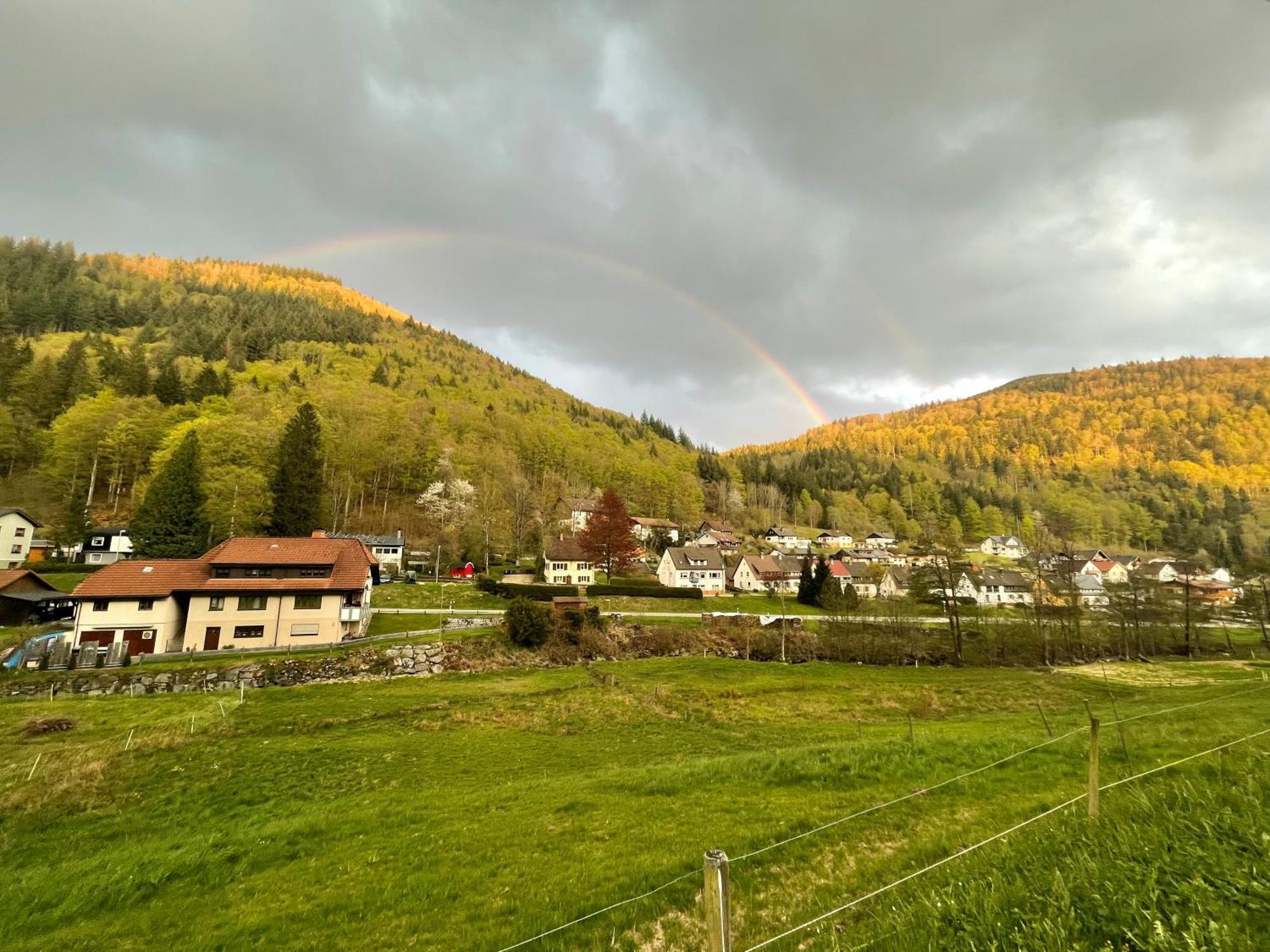 Ferienwohnung Ella, 95Qm, Terrasse Todtnau Luaran gambar